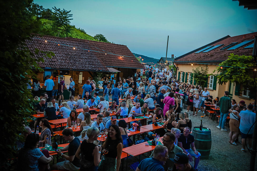 Endlich wieder Weinfest!