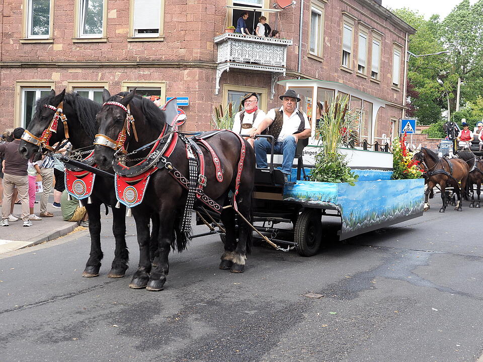 Der sonnt&auml;gliche H&ouml;hepunkt des Rakoczy-Fest.