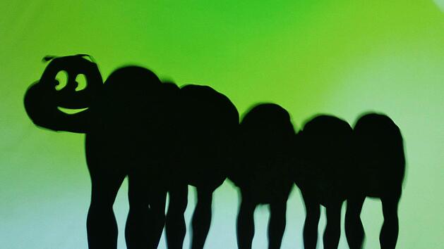 Die kleine Raupe nimmersatt wird zum gro&szlig;en Ungeheuer. Foto: Werner Vogel