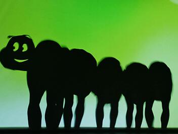 Die kleine Raupe nimmersatt wird zum großen Ungeheuer. Foto: Werner Vogel