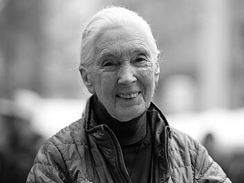 Jane Goodall