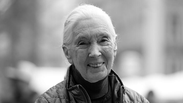 Jane Goodall