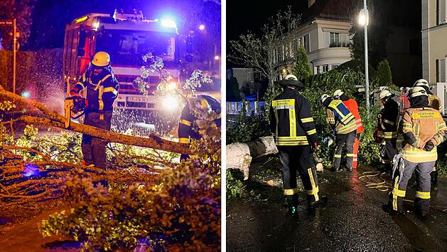Zahlreiche Einsätze durch Sturm in Franken: Baum stürzt direkt an Polizeigebäude um