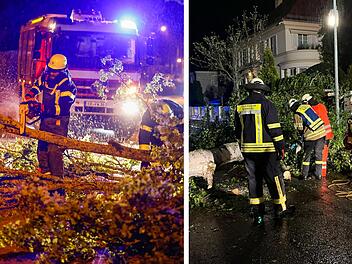 Zahlreiche Einsätze durch Sturm in Franken: Baum stürzt direkt an Polizeigebäude um