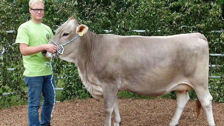 Rind Zensi zeigt die perfekte Köperhaltung, das wochenlange Trainieren und Gassi-Gehen auf dem Dreistelz hat sich für Roland Wehner gelohnt. Und Junglandwirt Michael Amtmann freut sich natürlich über seinen Schützling, der ihm aufs Wort folgte.