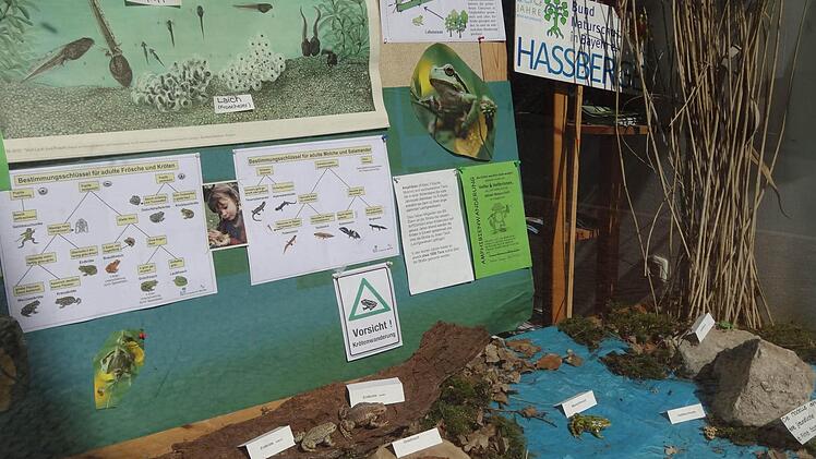 Mit den Amphibien haben sich die Naturschützer im Landkreis im Jahr 2014 sehr intensiv auseinandergesetzt. Erklärungen dazu gibt es ausführlich im Schaufenster der Geschäftsstelle.
