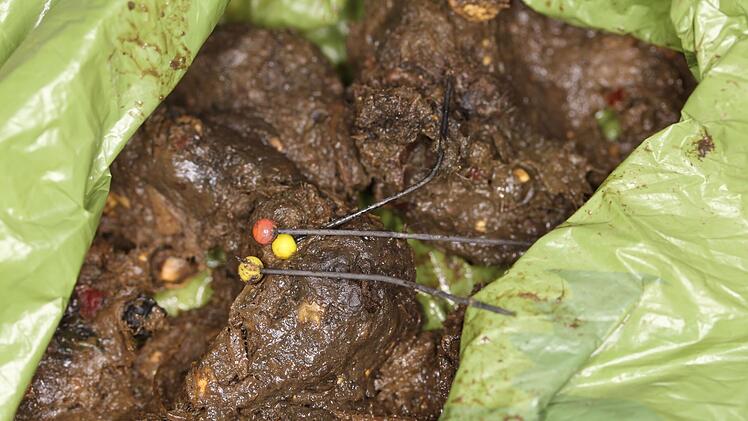 Rossach: Tierarzt warnt vor Ködern in Coburg - Hündin nimmt Nadeln auf