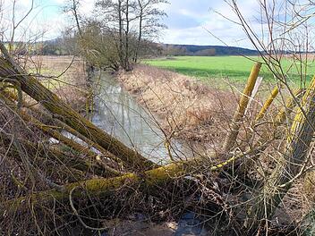 Der Ransbach soll renaturiert werden. Foto: Philipp Bauernschubert