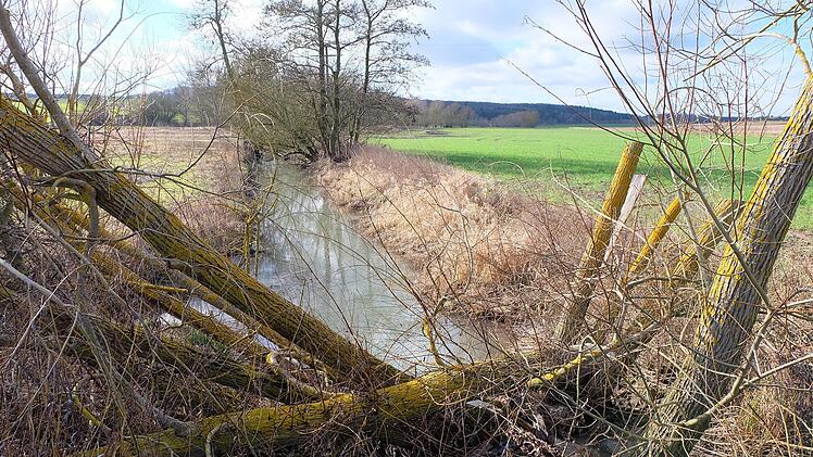 Der Ransbach soll renaturiert werden. Foto: Philipp Bauernschubert