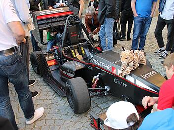 Der C-18 Ozelot und sein Namensgeber - hier zur Sicherheit aller Anwesenden nur aus Pl&uuml;sch. Foto: Anke Hempfling