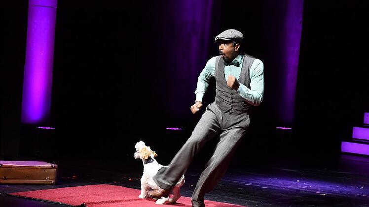 Fuchs-Gala 2018 zu "Bamberg zaubert" im E.T.A.-Hoffmann-Theater. Foto: Ronald Rinklef