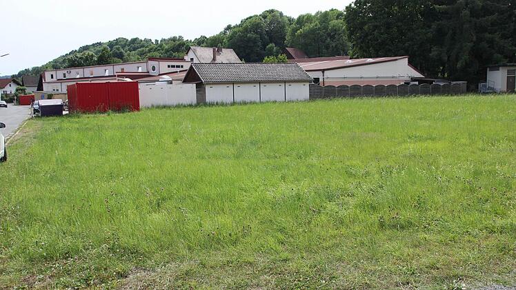 Auf dieser grünen Wiese soll der Erweiterungsbau der Firma Joerg (im Hintergrund) entstehen.  Foto: Friedwald Schedel