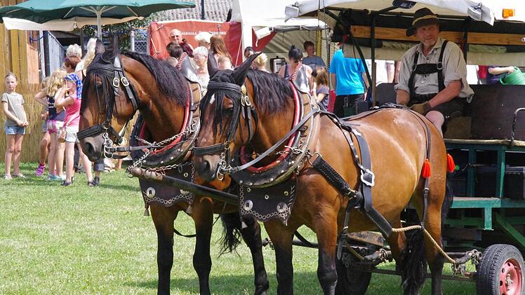 Kutschfahrten durften beim Tierheimfest nicht fehlen. Foto: Marco Meißner