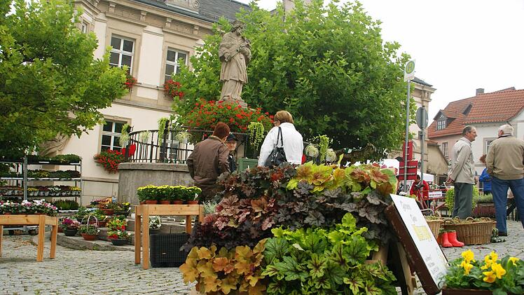 In einen bunten Blumen- und Dekomarkt wird sich der Eltmanner Marktplatz am kommenden Sonntag, 4. September, verwandeln, wenn der Obst- und Gartenbauverein zum Spätsommerfest einlädt.  Foto: sw