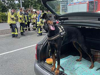 Feuerwehr Forchheim muss Hund aus Auto retten - dann kommt die Besitzerin Feuerwehr Forchheim muss Hund aus Auto retten - dann kommt die Besitzerin