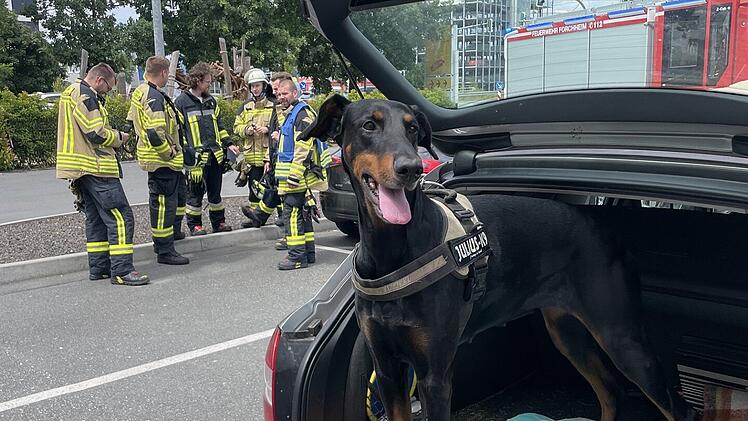 Feuerwehr Forchheim muss Hund aus Auto retten - dann kommt die Besitzerin