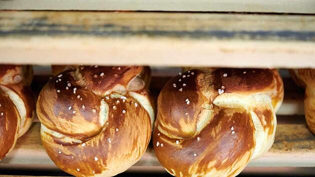 Laugenbroetchen-backen.jpg
