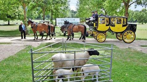 Sogar die Postkutsche machte für die Dorffest-Bewerbung ausnahmsweise einen Abstecher in den Kurpark. Foto: Sigismund von Dobschütz