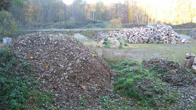 Biberplattform im Bau: Im Hintergrund sieht man den Untergrund für die Plattform. Foto: Julia Raab
