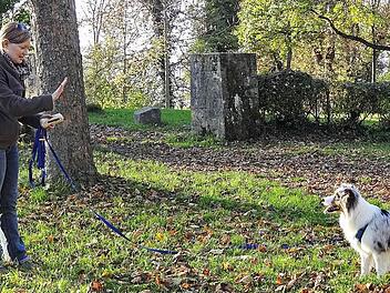 Eine gesunde Hund-Mensch-Beziehung funktioniert nur dann, wenn Frauchen und Herrchen auch die Bedürfnisse des Vierbeiners versteht und diese im Alltag beachtet werden. Auch die Rangordnung muss geregelt sein.  Fotos: Johanna Eckert