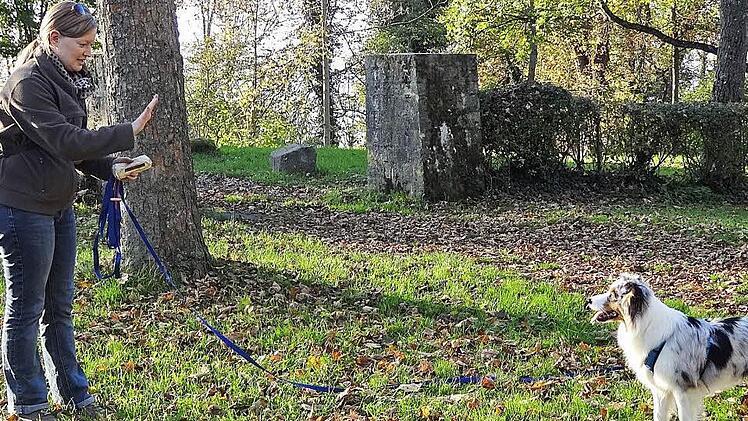 Eine gesunde Hund-Mensch-Beziehung funktioniert nur dann, wenn Frauchen und Herrchen auch die Bedürfnisse des Vierbeiners versteht und diese im Alltag beachtet werden. Auch die Rangordnung muss geregelt sein.  Fotos: Johanna Eckert