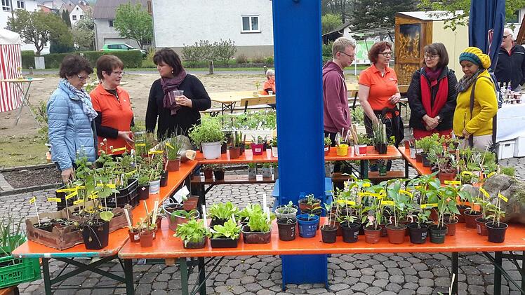 Ein reger Austausch von Erfahrungen und botanischen Waren stand im Mittelpunkt der Pflanzenbörse des Vereins für Gartenbau und Landespflege auf dem Mottener Dorfplatz. Der Reinerlös dieser mittlerweile fünften Veranstaltung kommt einem gemeinnützigen Zweck zugute. Foto: Rolf Pralle