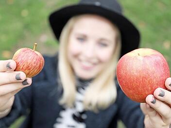 Welcher der beiden &Auml;pfel ist aus der diesj&auml;hrigen heimischen Zucht und welcher aus dem Supermarkt? Foto: Marian Hamacher