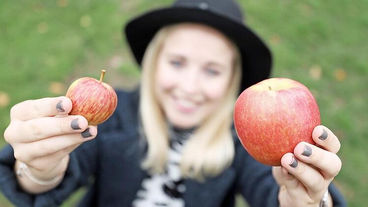 Welcher der beiden &Auml;pfel ist aus der diesj&auml;hrigen heimischen Zucht und welcher aus dem Supermarkt? Foto: Marian Hamacher