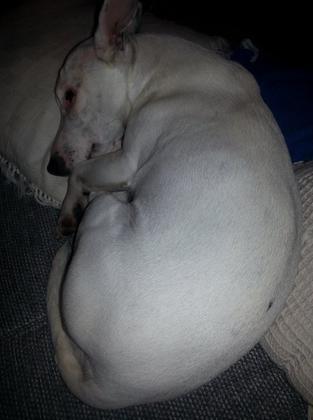 Foto: Marlies Hlenschi