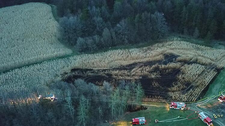 Foto: News5/Merzbach