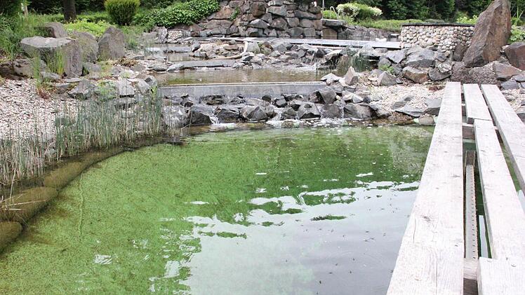 Aus dem Badeteich (rechts oben) fließt das Wasser über Kaskaden in mehrere tiefer liegende kleinere Becken und wird dadurch schon vorgereinigt.  Foto: Friedwald Schedel