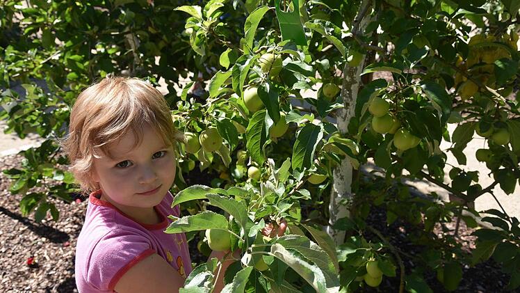 Die vierjährige Michelle Geß fühlt sich zwischen Blumen und Obst wohl.