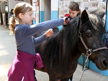 Vor dem Reiten steht Pflege auf dem Stundenplan. Emma und Merrit wissen, wie es geht. Fotos: Richard Sänger