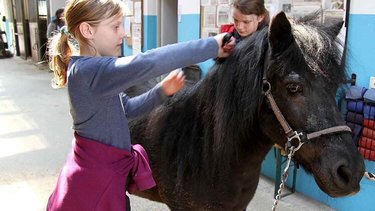 Vor dem Reiten steht Pflege auf dem Stundenplan. Emma und Merrit wissen, wie es geht. Fotos: Richard Sänger