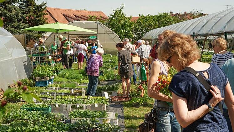 Garten
