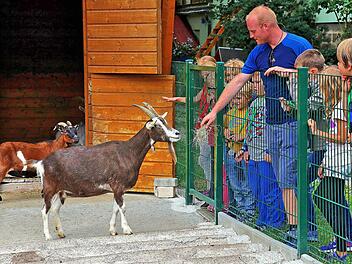 Ziegenbock Anton ließ sich von Michael Rattinger gerne füttern. 18 Mädchen und Jungen führte Rattinger beim Kinderferienprogramm durch das Tierheim Wannigsmühle. Foto: Dieter Britz