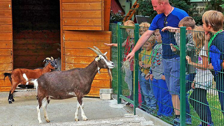 Ziegenbock Anton ließ sich von Michael Rattinger gerne füttern. 18 Mädchen und Jungen führte Rattinger beim Kinderferienprogramm durch das Tierheim Wannigsmühle. Foto: Dieter Britz