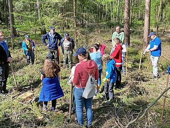 Stefan Stirnweiß (links) weist die kleinen Teilnehmer beim Actionday des Rotary Clubs Höchstadt in den Ablauf zum Pflanzen von Hainbuchen und Esskastanien ein.