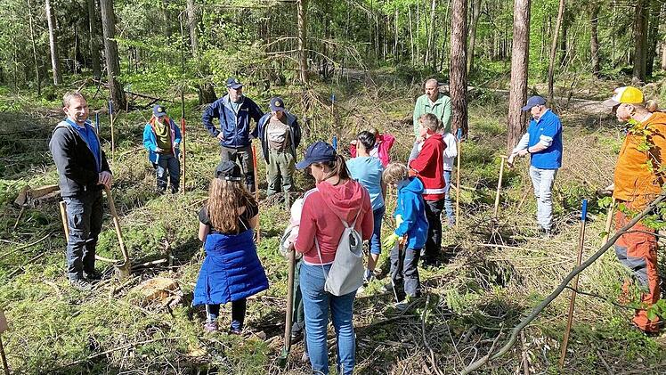 Stefan Stirnweiß (links) weist die kleinen Teilnehmer beim Actionday des Rotary Clubs Höchstadt in den Ablauf zum Pflanzen von Hainbuchen und Esskastanien ein.