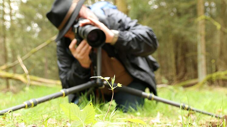Auge f&uuml;rs Detail: Mit den richtigen Kameraeinstellungen werden auch unscheinbare Pfl&auml;nzchen zu gro&szlig;artigen Fotomotiven. Foto: Adriane Lochner