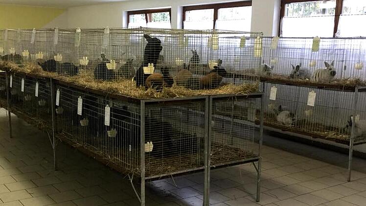 Ein Kaninchen war schöner als das andere.  Richard Sänger