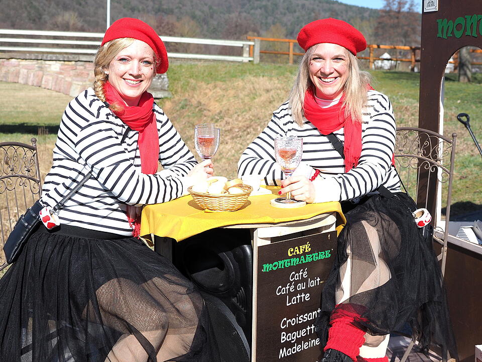 Buntes Faschingstreiben in Unterfranken!