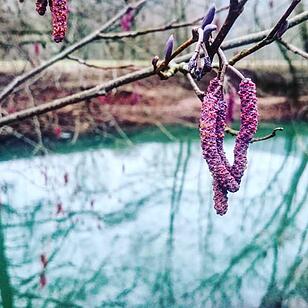 Die schönsten Frühlingsfotos aus Bad Kissingen und Umgebung