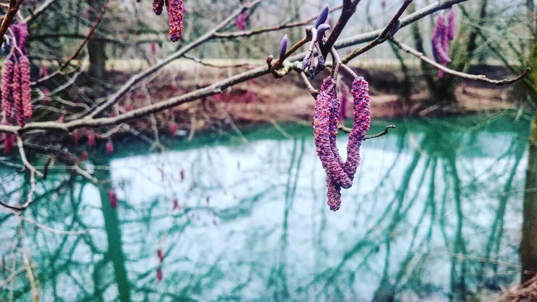 Die schönsten Frühlingsfotos aus Bad Kissingen und Umgebung