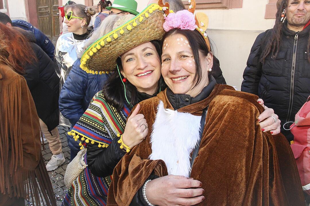 Fasching 2025 in Stadtsteinach!