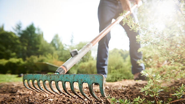 Lidl: Gardena-Gartenwerkzeug jetzt stark reduziert - der Überblick