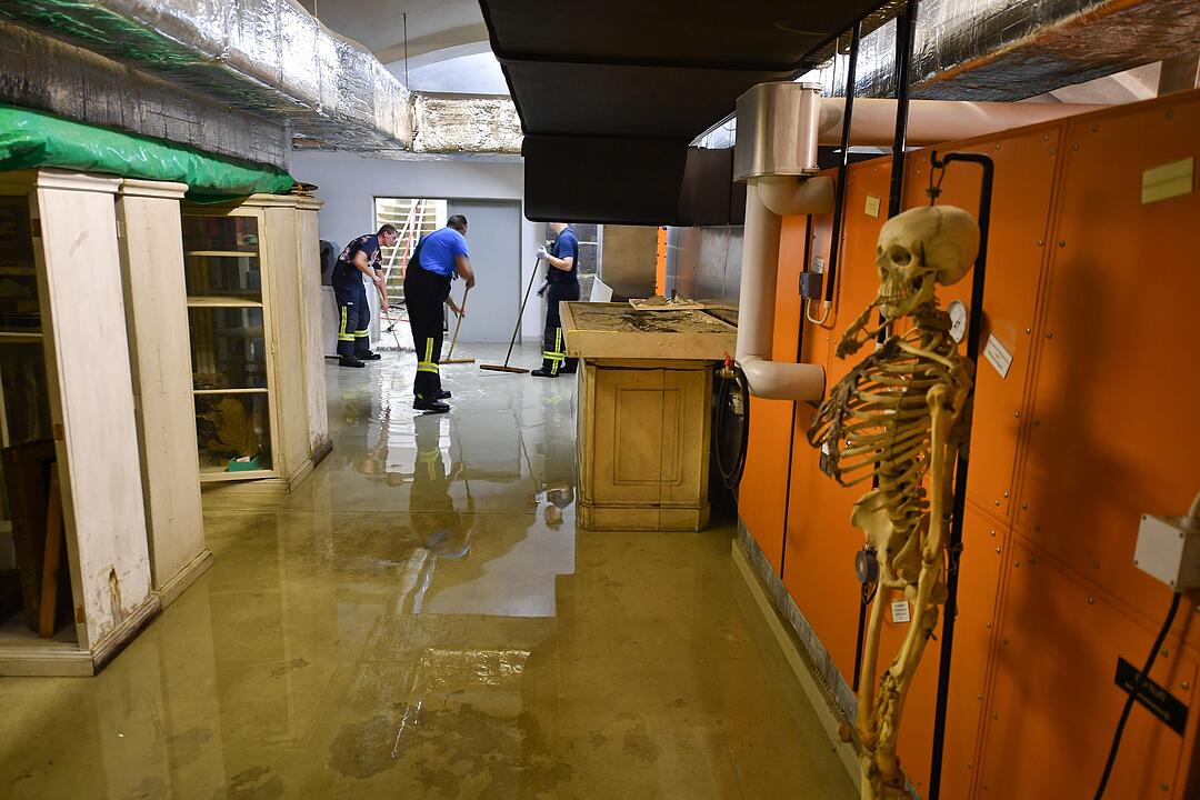 Wasserrohrbruch im Naturkundemuseum