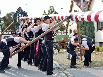 Hau ruck: Die starken jungen Männer aus Steinach richteten den Kirmesbaum auf. Fotos: Sigismund von Dobschütz