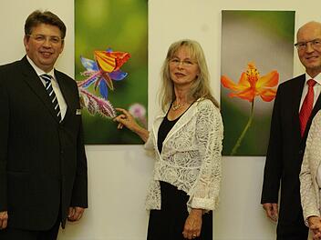Vernissage in der Bank Schilling (von links): Filialdirektor Johannes Wagenpfahl, Maria Heckmann, Vorstandsmitglied Matthias Busch und Kunstkritikerin Astrid Hedrich-Scherpf. Foto: Winfried Ehling