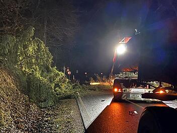 Ein Langholztransporter kam der Feuerwehr Bad Kissingen und Hausen zu Hilfe.
